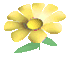 p_flower_yellow.gif